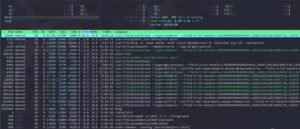 دستور htop