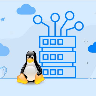 هاست لینوکس ایران: راهنمای جامع از 0 تا 100 برای انتخاب بهترین هاست