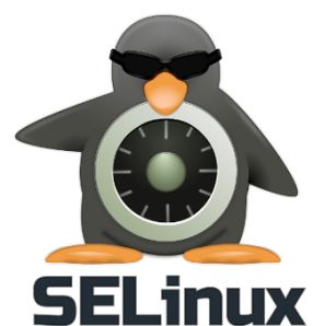 SELinux چیست